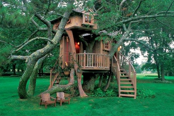 como montar uma casa na árvore 8